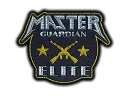 Patch | Metal Master Guardian Elite