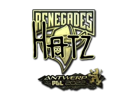 Sticker Slab | hatz (Gold) | Antwerp 2022