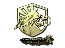 Sticker Slab | nitr0 (Gold) | Antwerp 2022