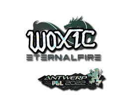 Sticker Slab | woxic (Glitter) | Antwerp 2022