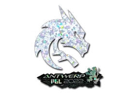 Sticker Slab | Team Spirit (Glitter) | Antwerp 2022