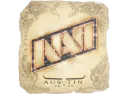 Natus Vincere | Austin 2025