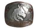 Team Spirit (Foil) | Austin 2025