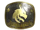 Team Spirit (Gold) | Austin 2025