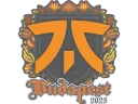 fnatic | Budapest 2025