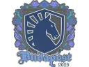 Team Liquid | Budapest 2025
