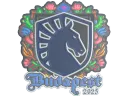 Team Liquid (Embroidered) | Budapest 2025