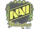 Natus Vincere | Budapest 2025