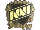 Natus Vincere (Gold) | Budapest 2025