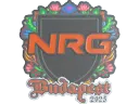 NRG (Embroidered) | Budapest 2025