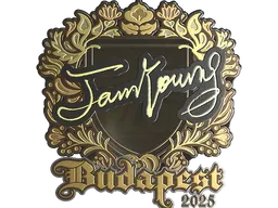 Sticker | JamYoung (Gold) | Budapest 2025