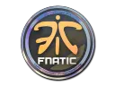 Fnatic (Holo) | Cologne 2014