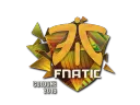 Fnatic (Holo) | Cologne 2016
