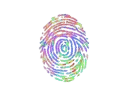 Evidence (Holo)