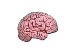 Sticker Slab | CS On The Mind