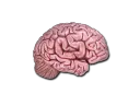 CS On The Mind