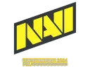 Natus Vincere | Copenhagen 2024
