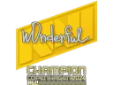 w0nderful (Champion) | Copenhagen 2024