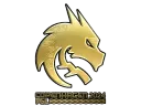 Team Spirit (Gold) | Copenhagen 2024