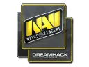 Natus Vincere | DreamHack 2014