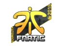 Fnatic | Katowice 2015