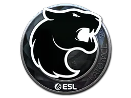 Sticker Slab | FURIA (Foil) | Katowice 2019
