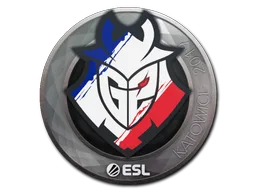 Sticker Slab | G2 Esports | Katowice 2019