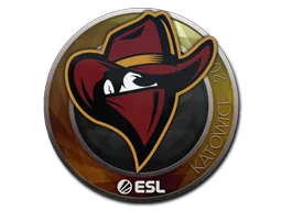 Sticker Slab | Renegades | Katowice 2019
