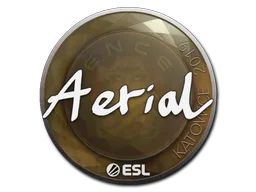 Sticker Slab | Aerial | Katowice 2019