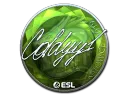 COLDYY1 (Foil) | Katowice 2019