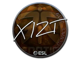 Sticker Slab | Xizt (Foil) | Katowice 2019