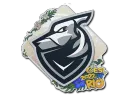 Grayhound Gaming | Rio 2022