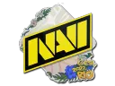 Natus Vincere | Rio 2022