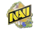 Natus Vincere (Holo) | Rio 2022