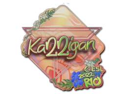 Sticker Slab | karrigan (Holo) | Rio 2022