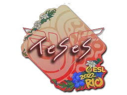 Sticker Slab | TeSeS | Rio 2022