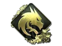 Team Spirit (Gold) | Rio 2022