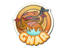 Sticker Slab | Orange Gnar