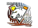 Virtus.pro (Foil) | 2020 RMR
