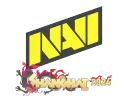 Natus Vincere | Shanghai 2024