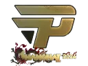 paiN Gaming (Gold) | Shanghai 2024