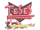 TeSeS | Shanghai 2024